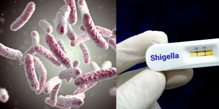 Shigella outbreak Wayanad